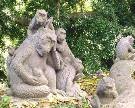 Von Reisterrassen zur Entspannung am Strand-3