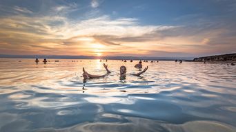 Menschen schwimmen im salzreichen Wasser des Toten Meeres