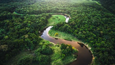 Blick auf den Amazonas-Regenwald mit gewundenem Flusslauf aus der Luft aufgenommen
