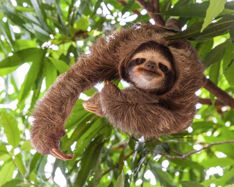 Hängebrücken, Thermalquellen und sonnenverwöhnte Strände-0