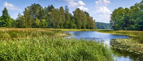 Naturlandschaft im Aukštaitija-Nationalpark mit Fluss, Wiesen und Wald