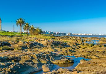 Küstenlandschaft bei Montevideo mit Felsen, Palmen und Blick auf den Río de la Plata