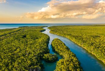 USA - Florida