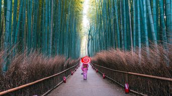 Frau in traditioneller Kleidung spaziert durch den Bambuswald in Kyoto, Japan