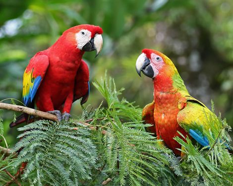 Zwischen Vulkanen, Dschungel & Geschichte-2