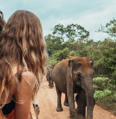 Eine Frau beobachtet einen Elefanten auf Safari