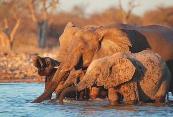 Namibia