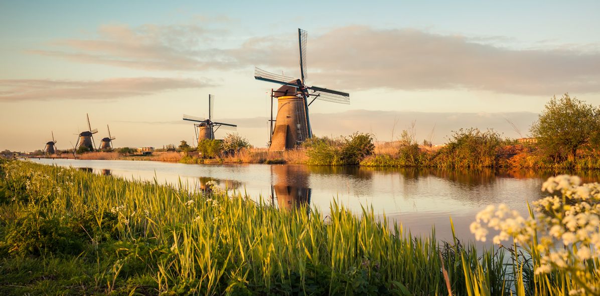 Windmühlen-Landschaft in Kinderdijk in den Niederlanden