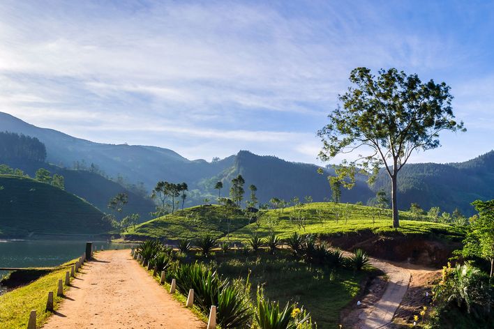 Landschaft in Matale in Sri Lanka
