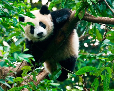 Von Kaiserpalästen bis zur Seidenstraße-3