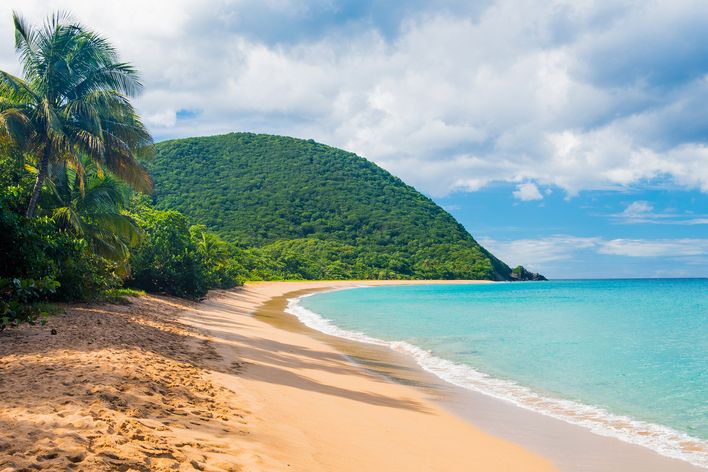 Strand auf der Insel Guadeloupe
