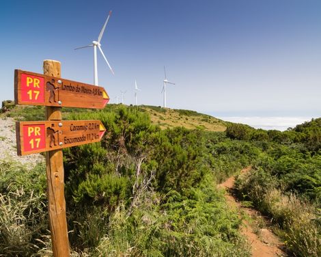 Wanderreise entlang Madeiras wilder Nordküste mit Levadawegen, Nebelwald und Atlantikblicken