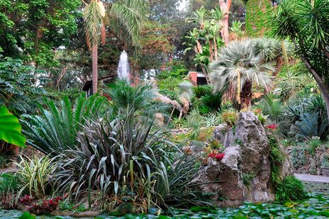 Botanischer Garten in La Mortella auf Ischia