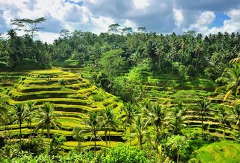 Indonesien