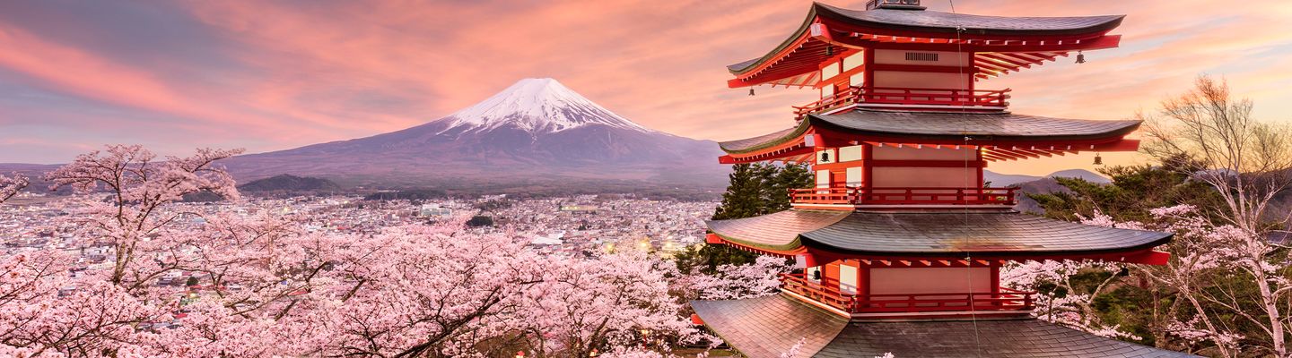 Mount Fuji mit Tempel und Kirschblüte bei Sonnenuntergang