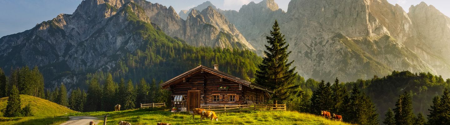 Eine traditionelle Berghütte steht zwischen blühenden Alpenwiesen vor den markanten Gipfeln der Schweiz.