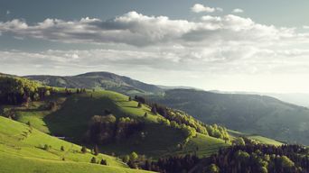 Landschaft im Schwarzwald