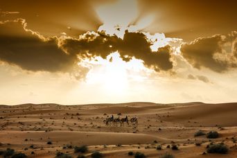 Wüste Rimal al Wahiba im Oman