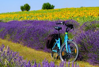 Frankreich - Provence