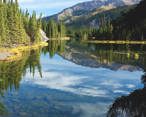 Kreuzfahrt mit Nieuw Amsterdam ab Whittier/an Vancouver inkl. 3 Nächte Vorprogramm Anchorage & Denali Nationalpark-2