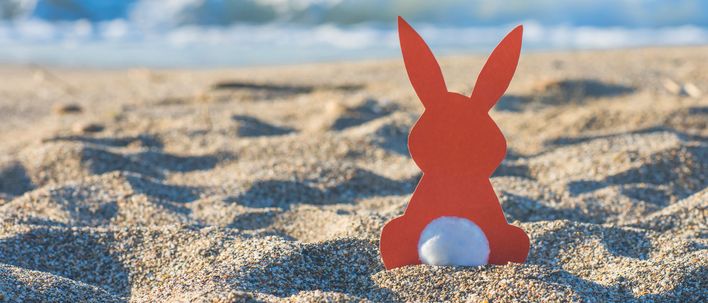 Hase am Strand