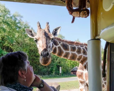 Familienabenteuer im Serengeti-Park Hodenhagen-1