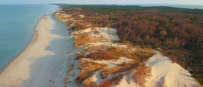 Blick auf die Küste mit Sandstrand und Dünen der Kurischen Nehrung in Litauen