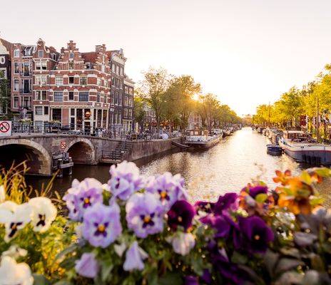 Gracht mit Blumen und historischen Häusern in Amsterdam
