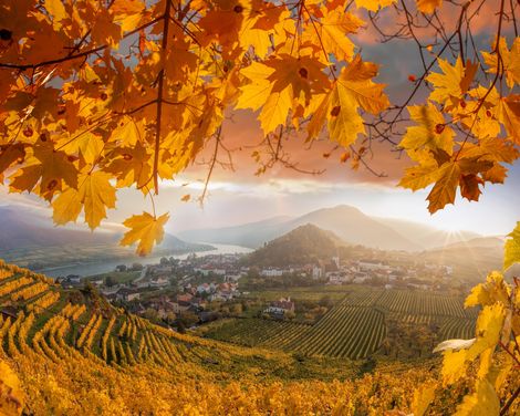 Flusskreuzfahrt mit A-ROSA RIVA/DONNA ab/an Passau-0