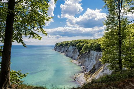 Kreidefelsen auf Rügen