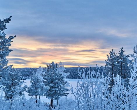 Standort-Rundreise mit Aufenthalt im Hotel Jokkmokk