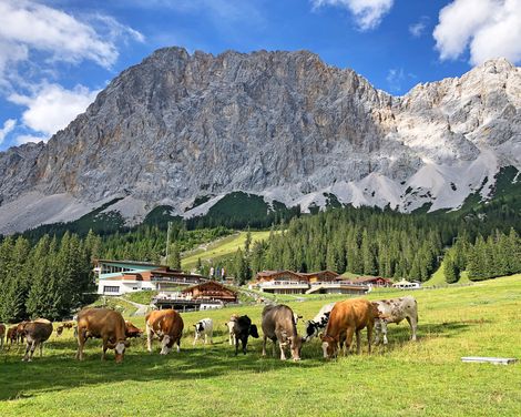 Wanderreise von Garmisch über Ehrwald bis zum Eibsee