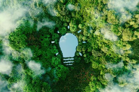 Glühbirne in Natur integriert als Zeichen für Nachhaltigkeit