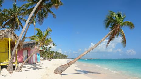 Strand Punta Cana mit Palmen