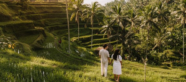 Paar spaziert durch ein Reisfeld auf der Insel Bali