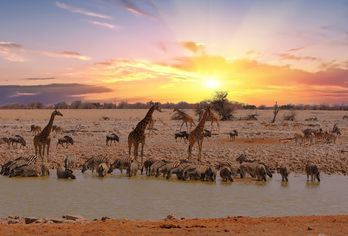 Namibia