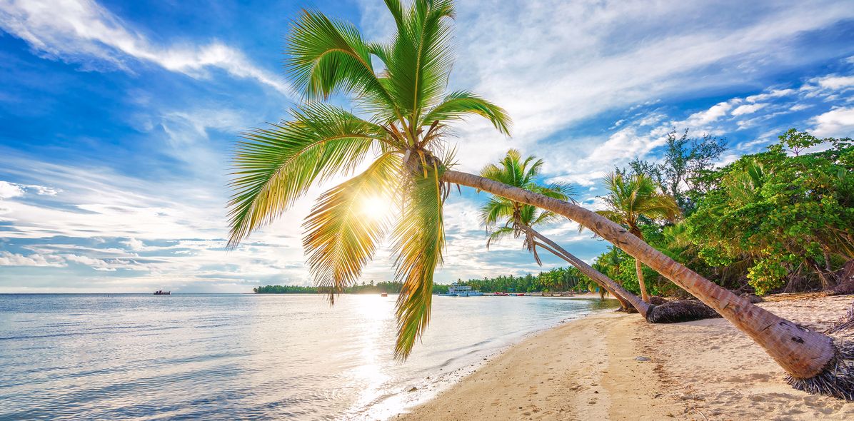 Sandstrand und Palmen in der Karibik.