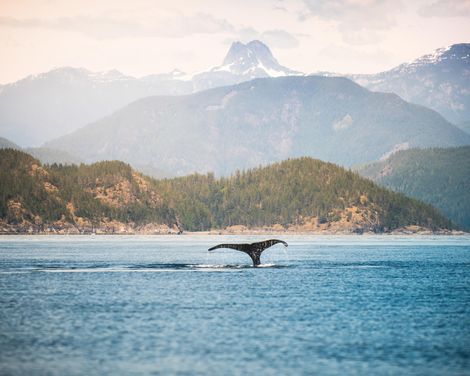 Kreuzfahrt mit der Celebrity Solstice von Seward bis Vancouver inkl. Alaska- & Kanada-Rundreise
