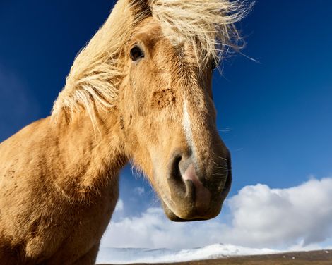 Kreuzfahrt mit der Costa Favolosa ab/an Hamburg