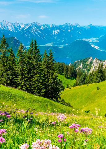 Landschaft im Allgäu