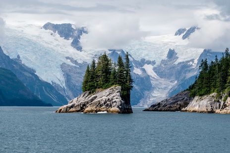 Kleine Insel mit Nadelbäumen in den Kenai Fjords vor Gletscherkulisse