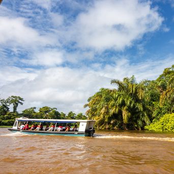 Touristenboot fährt durch die Wasserkanäle des Tortuguero-Nationalparks in Costa Rica