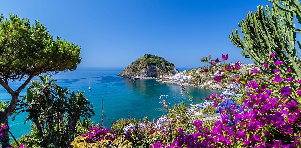 Blick auf die Küste von Ischia, umgeben von Blumen