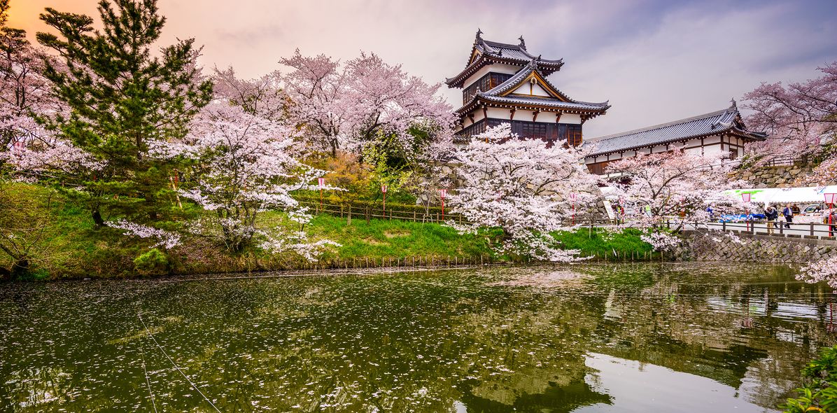 Pagode in Nara