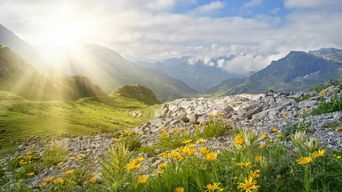 Alpenlandschaft in Tirol