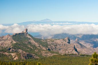 Pico de las Nieves