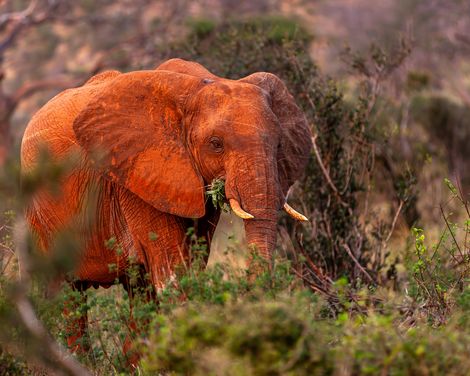 Traumhafte Strände und wilde Abenteuer-1