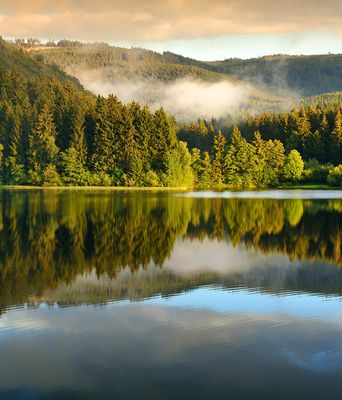 Landschaft im Harz