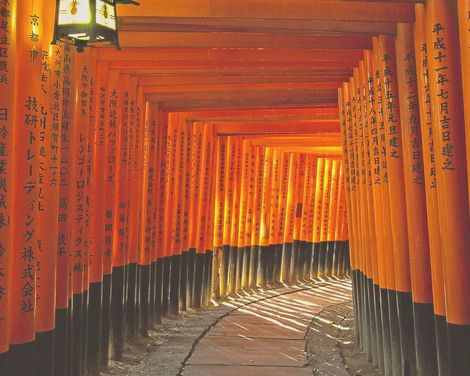 Rundreise von Tokio bis Kyoto-1