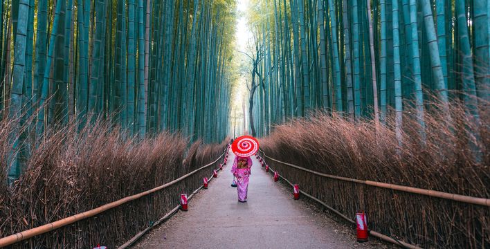 Frau in traditioneller Kleidung spaziert durch den Bambuswald in Kyoto, Japan